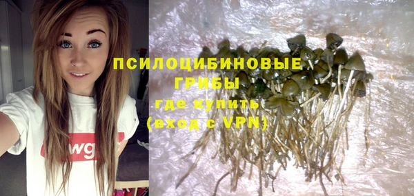 герыч Вязьма