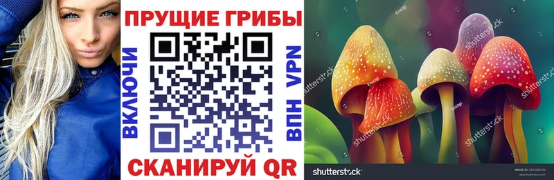 наркота  Южно-Сахалинск  Псилоцибиновые грибы Cubensis 